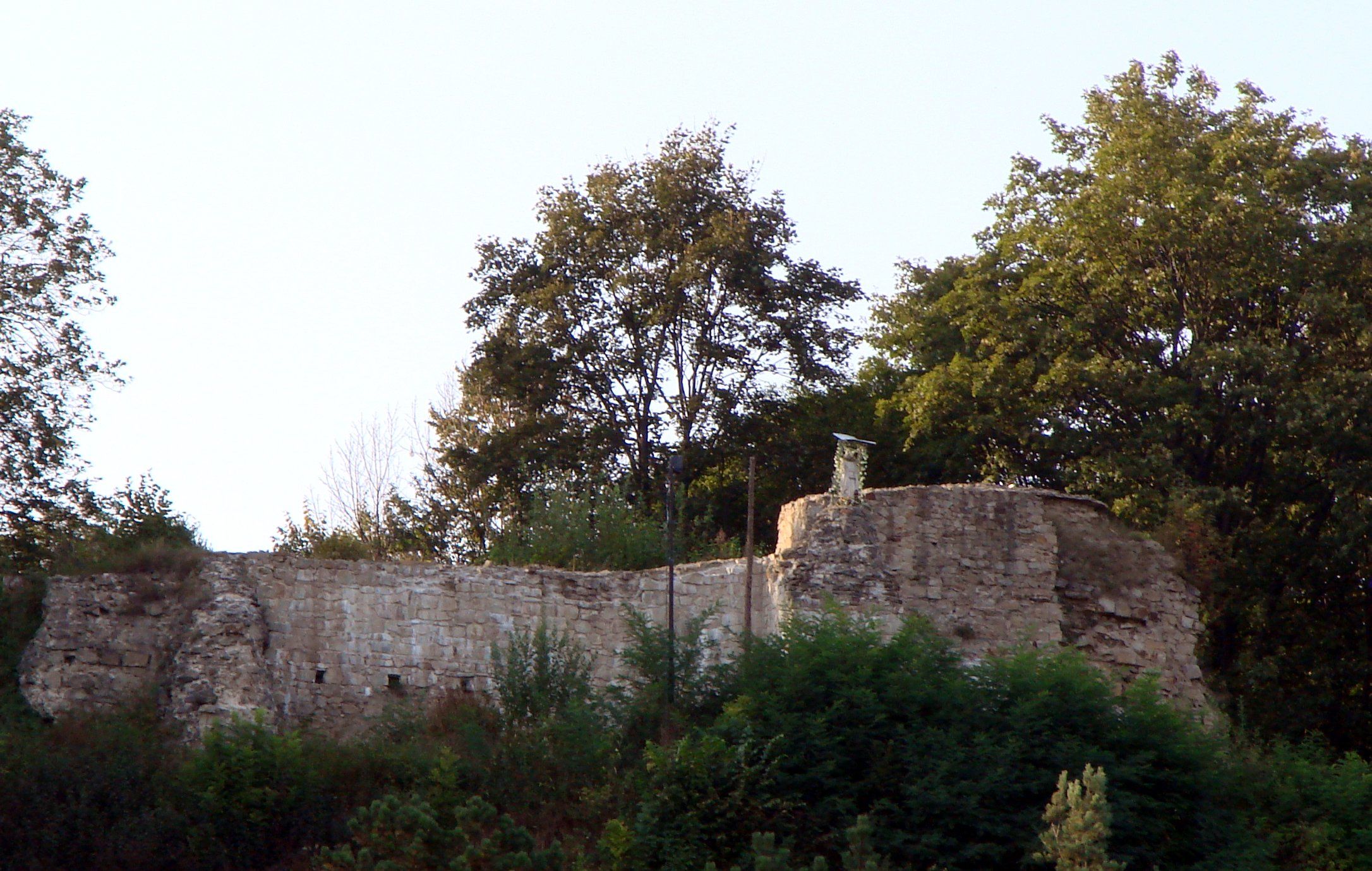 Zamek w Muszynie